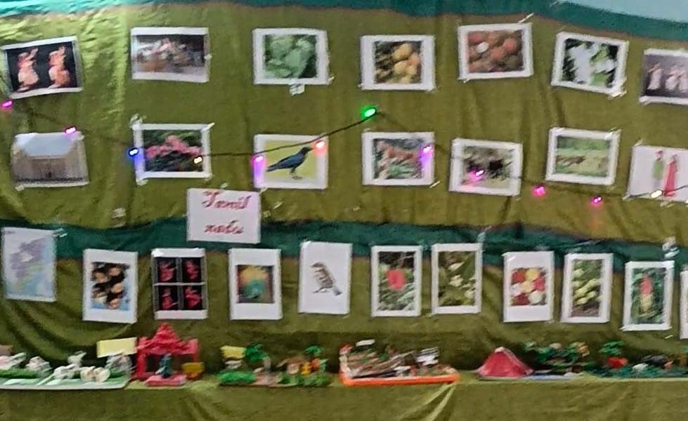 gallery grid image